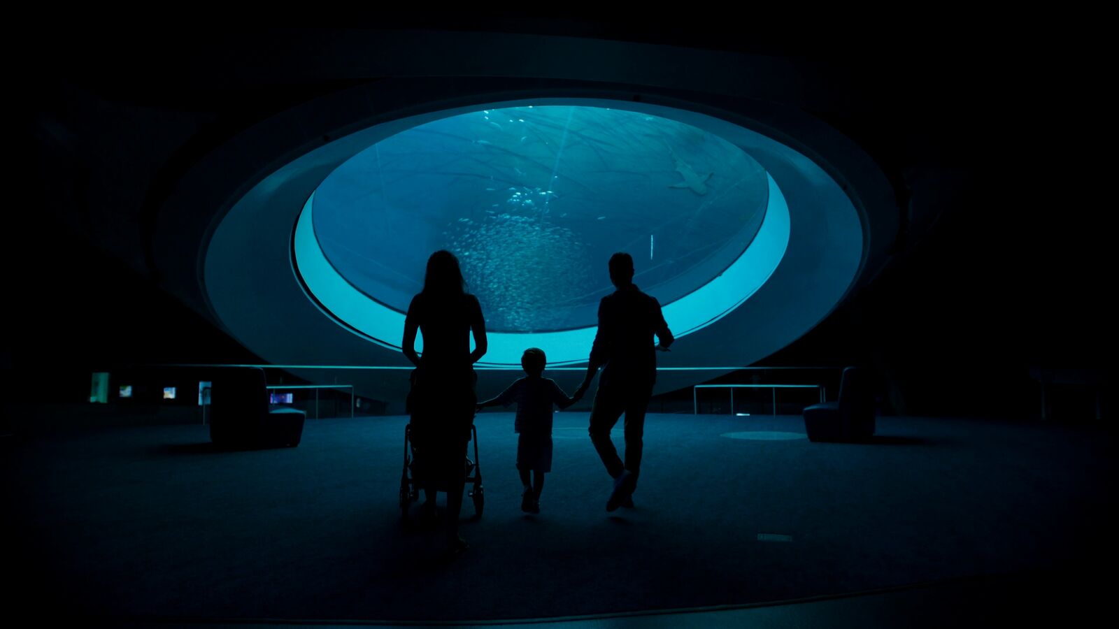 Graco "I Got You Babe": a family silhouetted before the illuminated oval aquarium window, stroller beside them